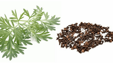 Cloves at wormwood para sa pagtanggal ng mga parasito mula sa katawan