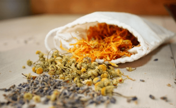 halamang gamot para sa bulate sa mga matatanda