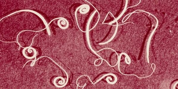 Larawan ng mga parasito ng tao